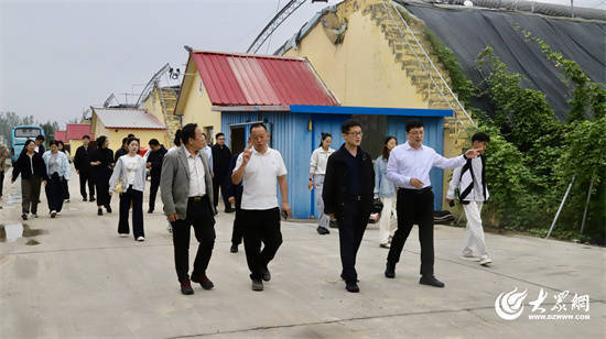 金牛财富 数智乡村 · 现场组图②丨高青丰码渌鑫AI智慧农业示范园：让每一株作物在“数据云端”精准生长